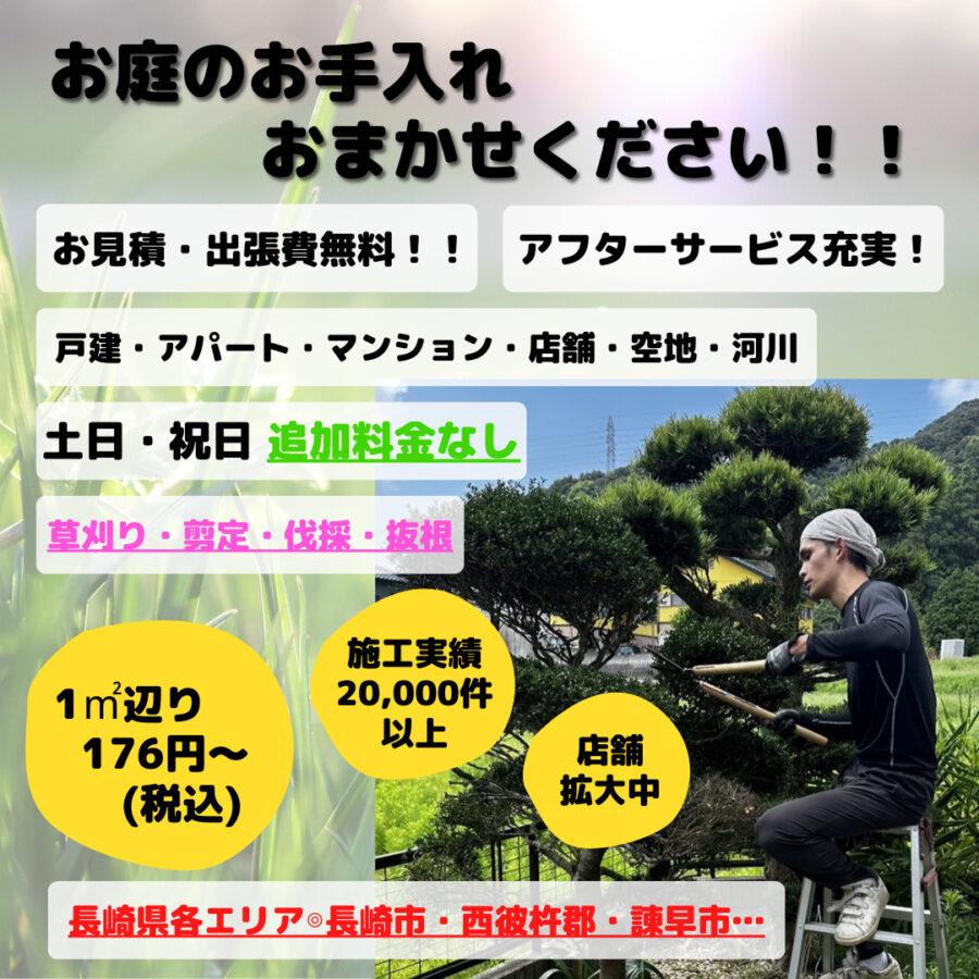 長崎市】安いくて早い！綺麗で丁寧！庭木の伐採・抜根お任せください♪高所作業可能・アフターサービスも充実☆株式会社まちのてらす