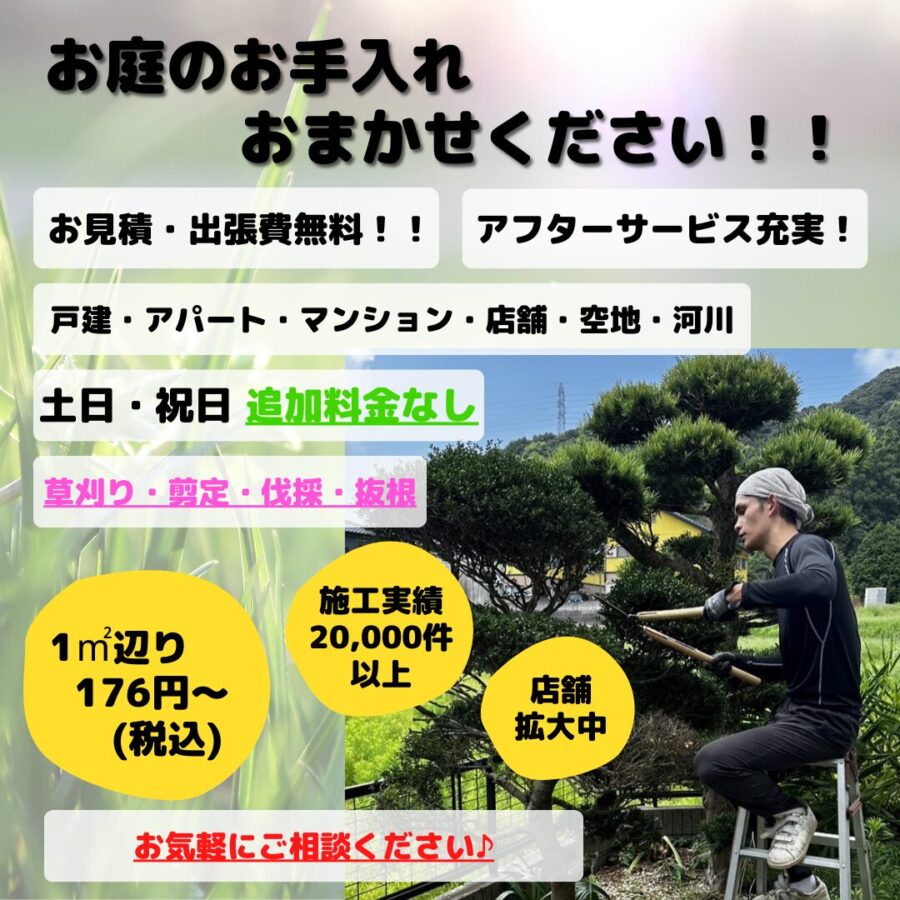 佐賀県】安い早い！綺麗で丁寧！庭木の伐採・抜根お任せください♪高所作業可能・アフターサービスも充実株式会社まちのてらす