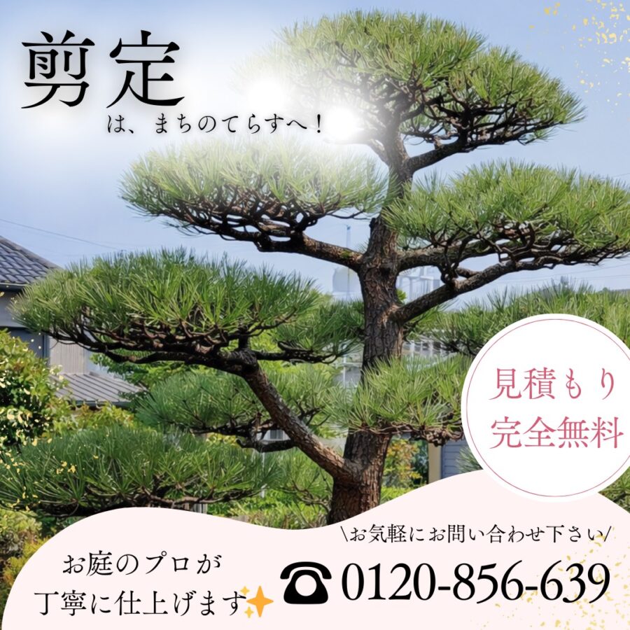 雲仙市】安いくて早い！綺麗で丁寧！庭木の剪定お任せください♪高所 