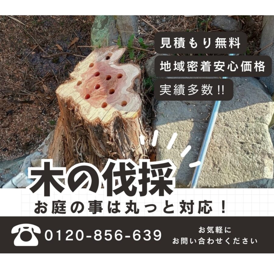 早岐】安いくて早い！綺麗で丁寧！庭木の伐採・抜根お任せください♪高 