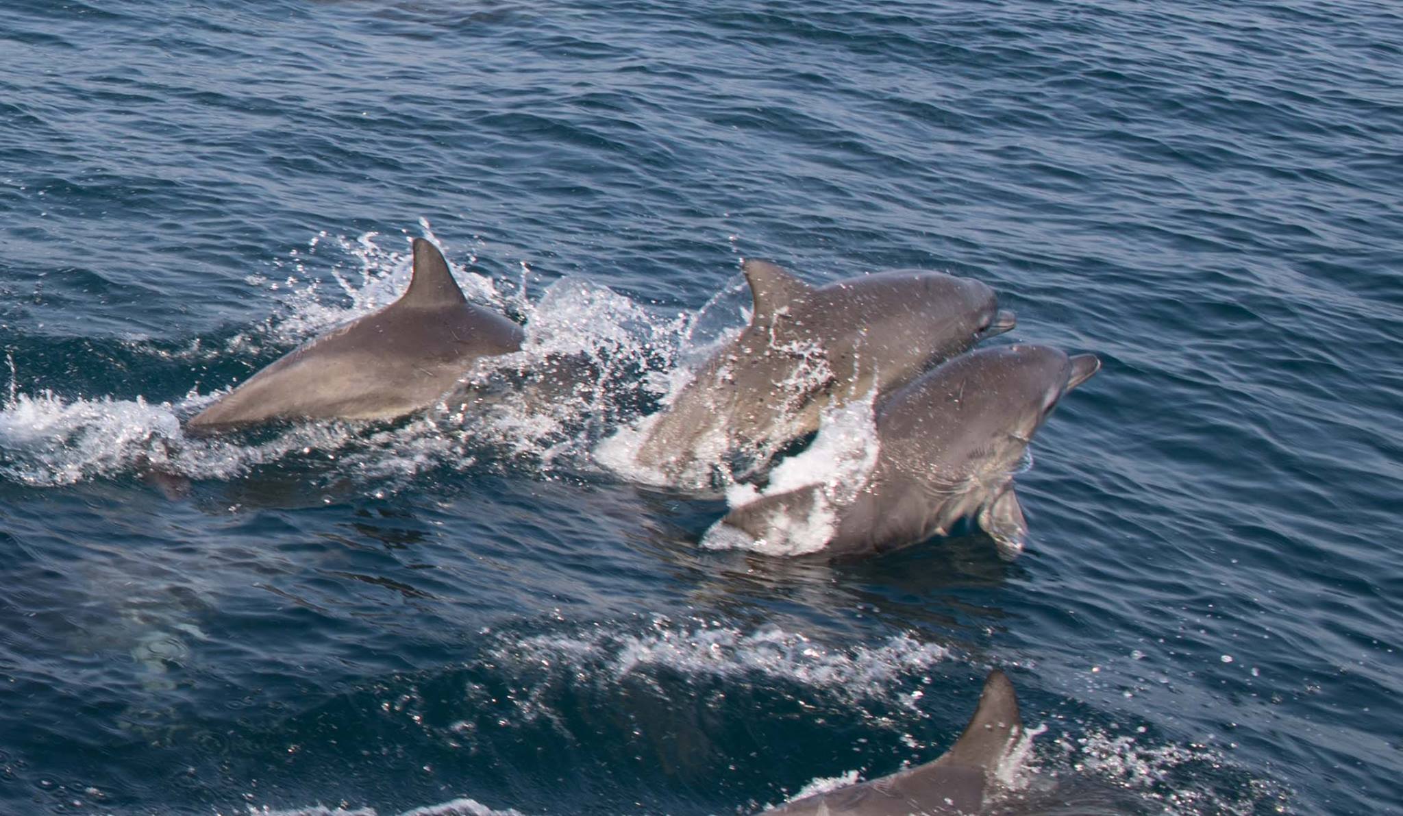 お気軽にご相談ください！