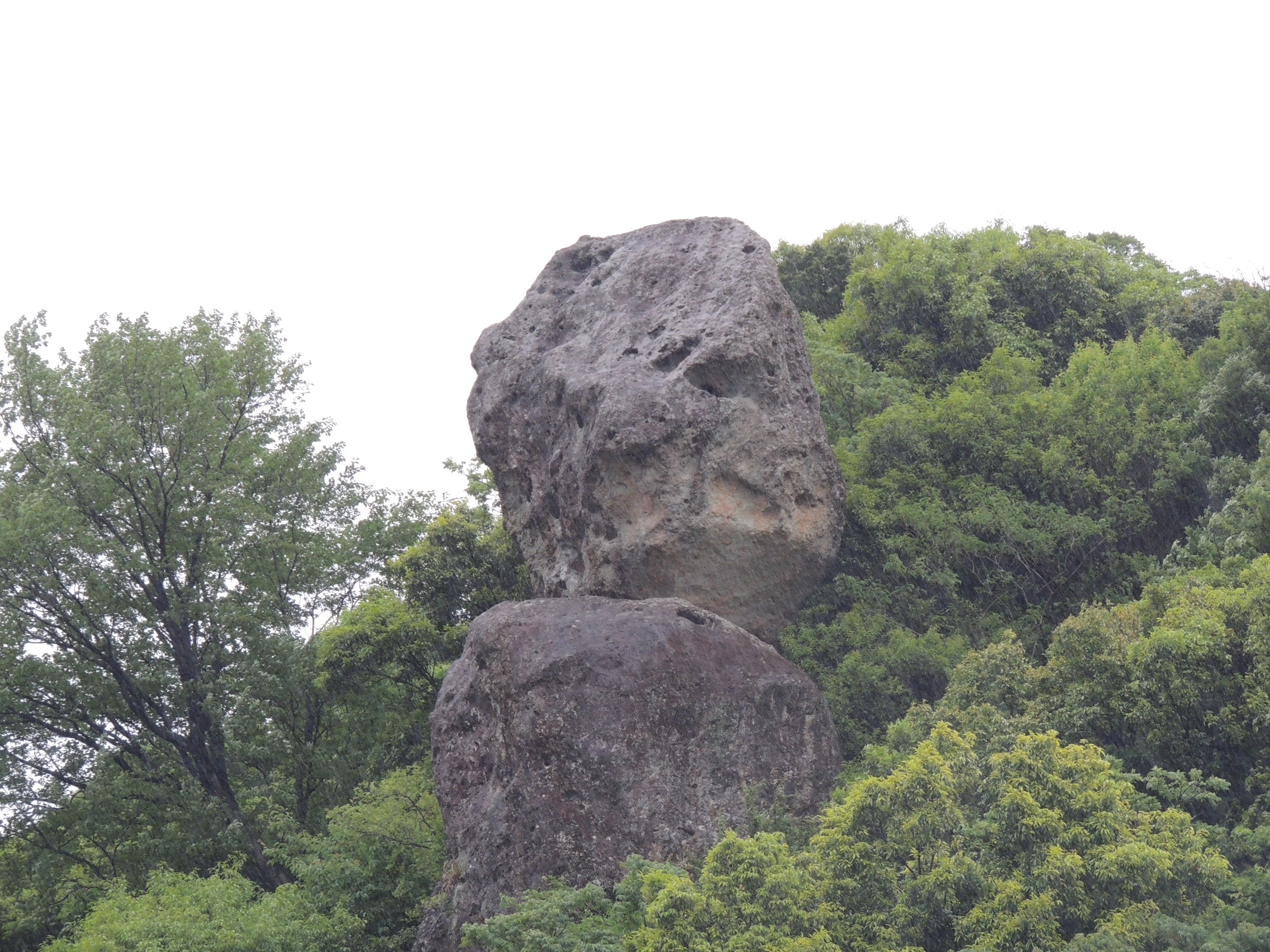 まずはお気軽にご相談ください！
