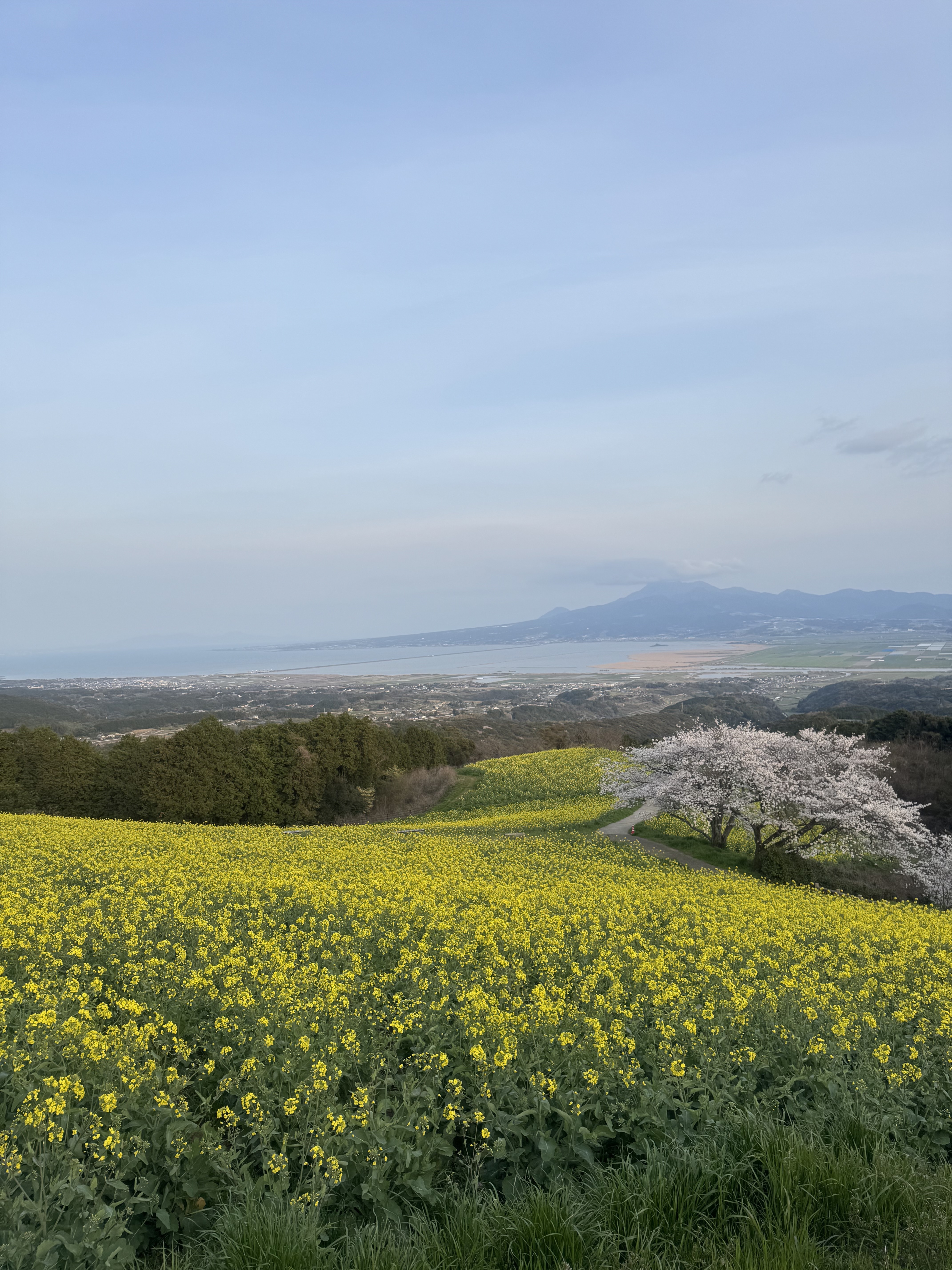 まずはお気軽にご相談ください！