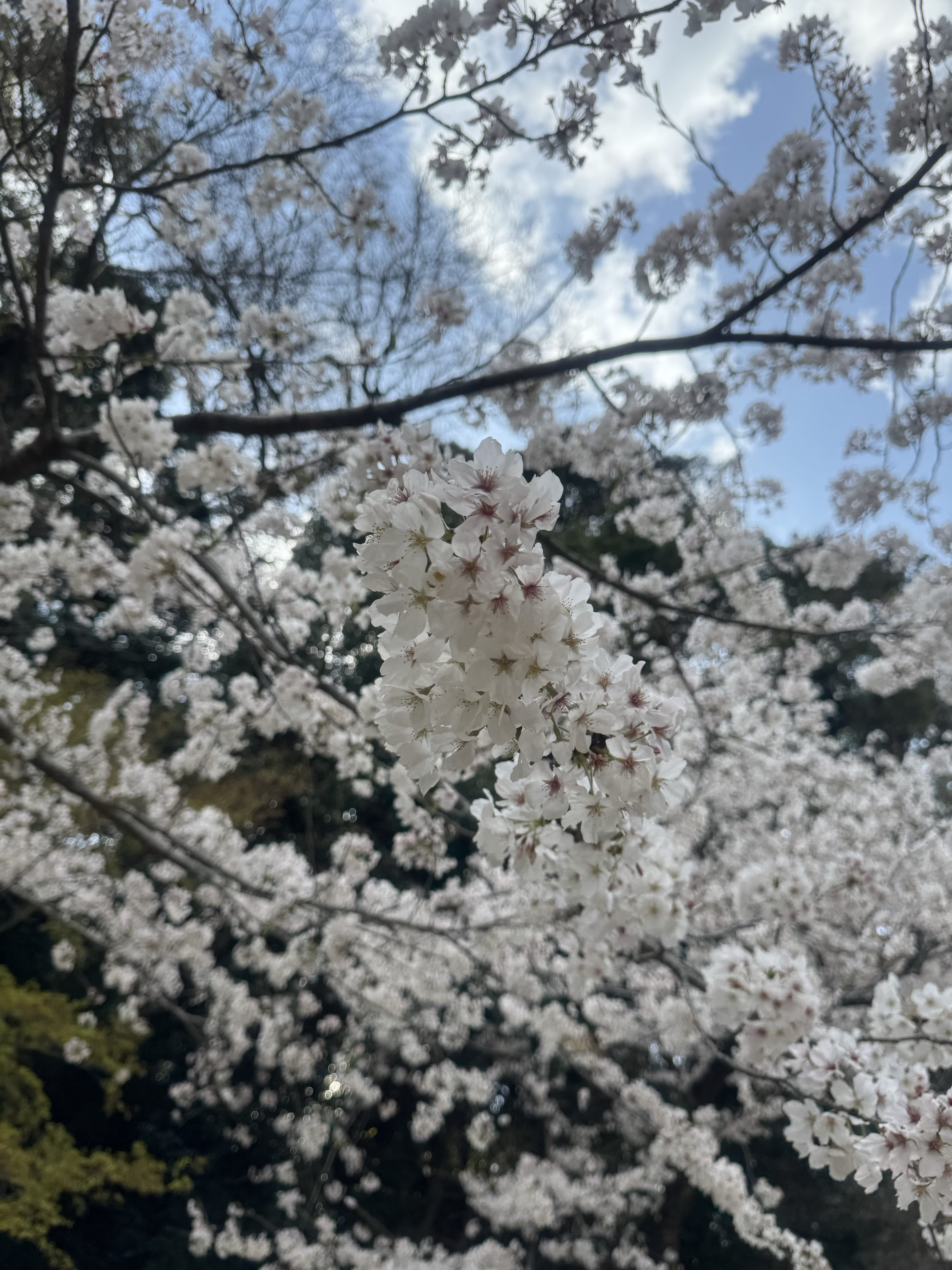 まずはお気軽にご相談ください！